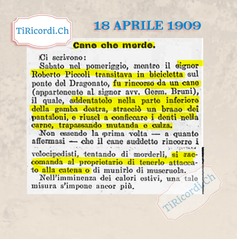 Cane che morde: ciclista azzannato sul ponte del Dragonato dal cane dell'avvocato Bruni, 1909
