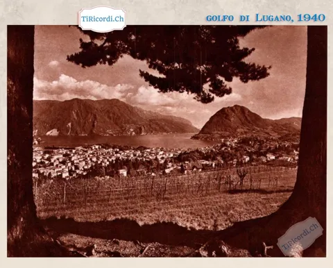 Golfo di Lugano 1940: la città vista attraverso i pini, con il Monte Brè, il San Salvatore e le vigne in primo piano