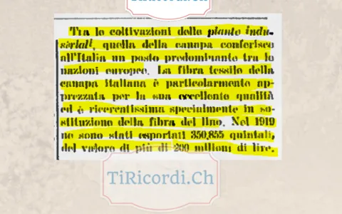 La canapa italiana: 350 855 quintali esportati nel 1919 per oltre 200 milioni di lire