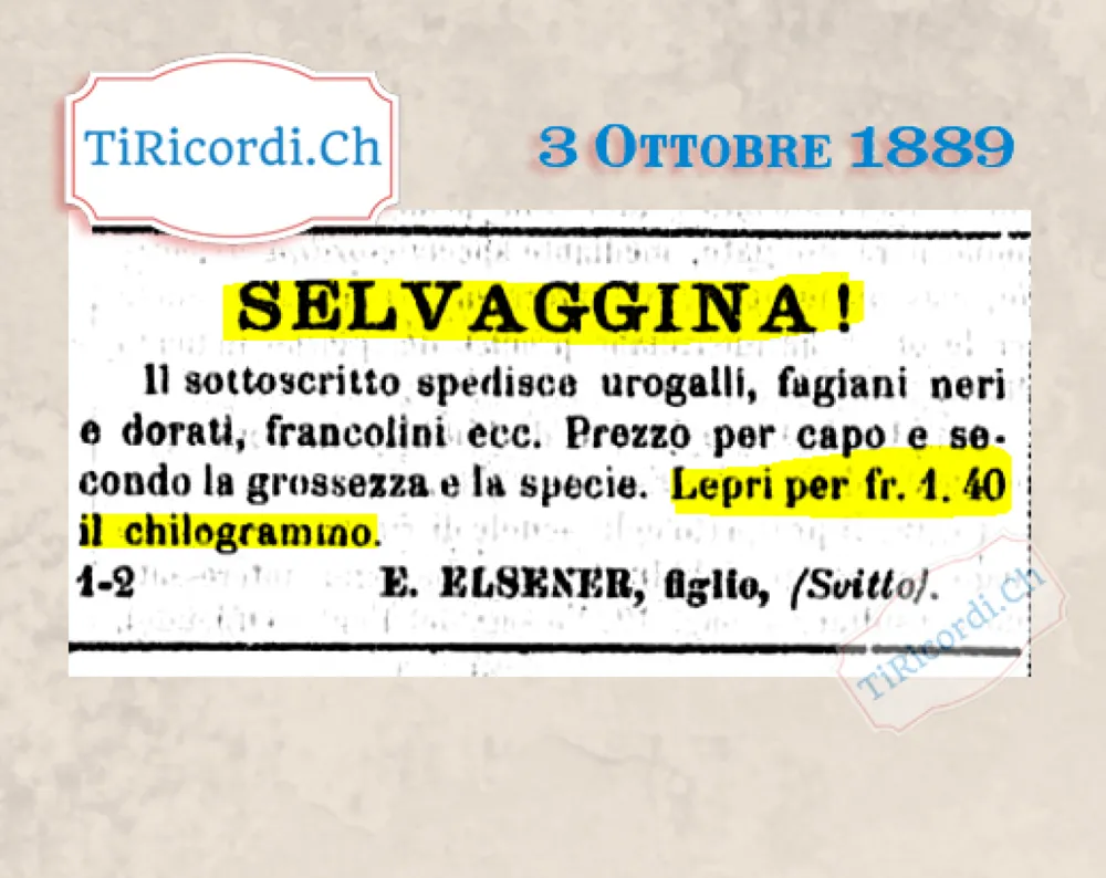 Selvaggina! Urogalli, fagiani e lepri a 1,40 il chilo da Svitto, 1889