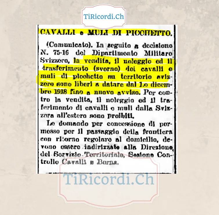 Cavalli e muli di picchetto: dal primo dicembre 1918 liberi la vendita, il noleggio e lo svernamento in Svizzera, ma vietato portarli all'estero, 1918