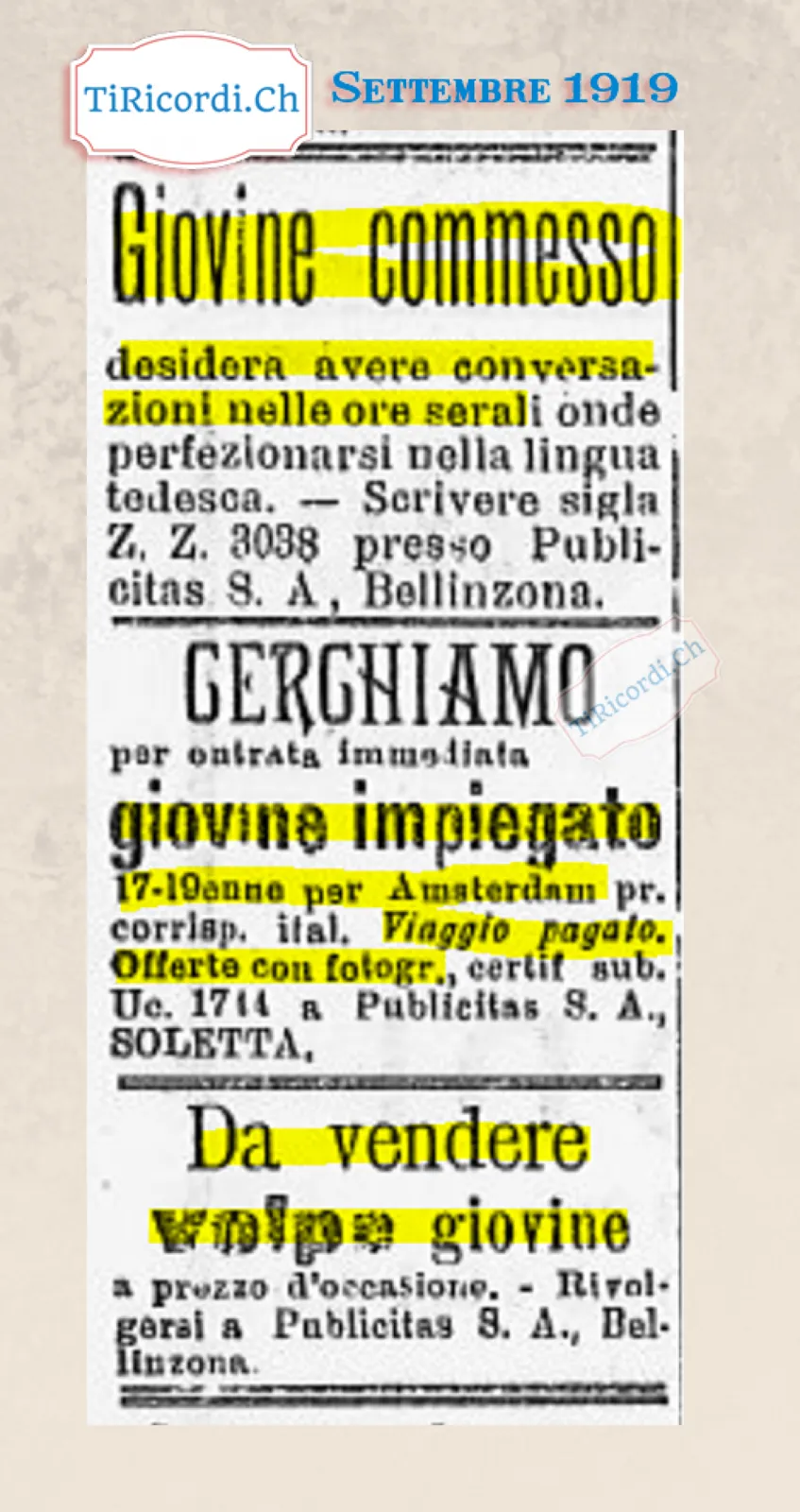 Giovine commesso cerca conversazioni serali per perfezionarsi nel tedesco; cercasi impiegato 17-19enne per Amsterdam, viaggio pagato; da vendere volpe giovine, 1919
