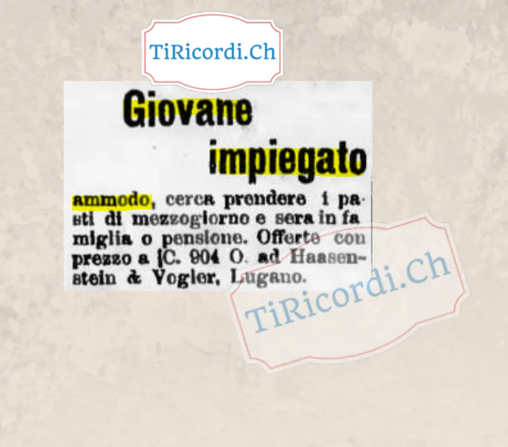 Giovane impiegato ammodo cerca i pasti di mezzogiorno e sera in famiglia o pensione, 1904