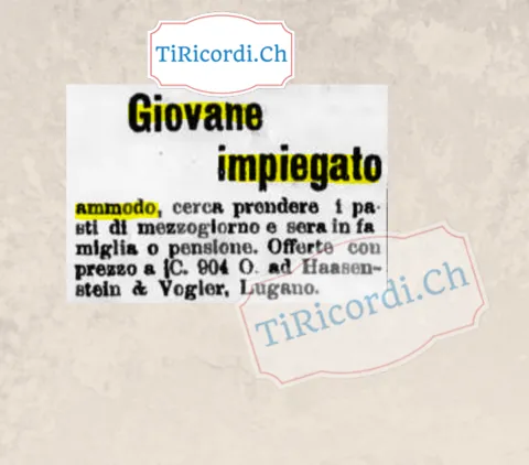 Giovane impiegato ammodo cerca i pasti di mezzogiorno e sera in famiglia o pensione, 1904