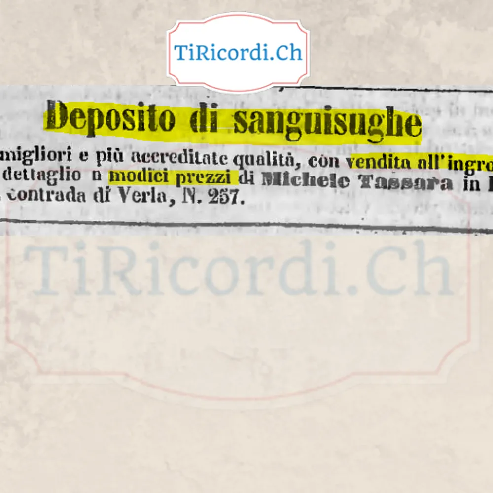 Sanguisughe in vendita, ingrosso e dettaglio, 1858
