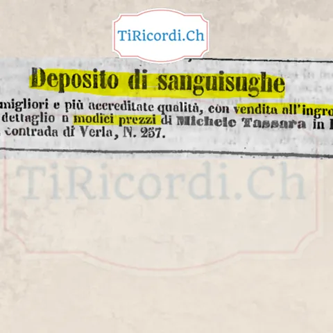 Sanguisughe in vendita, ingrosso e dettaglio, 1858