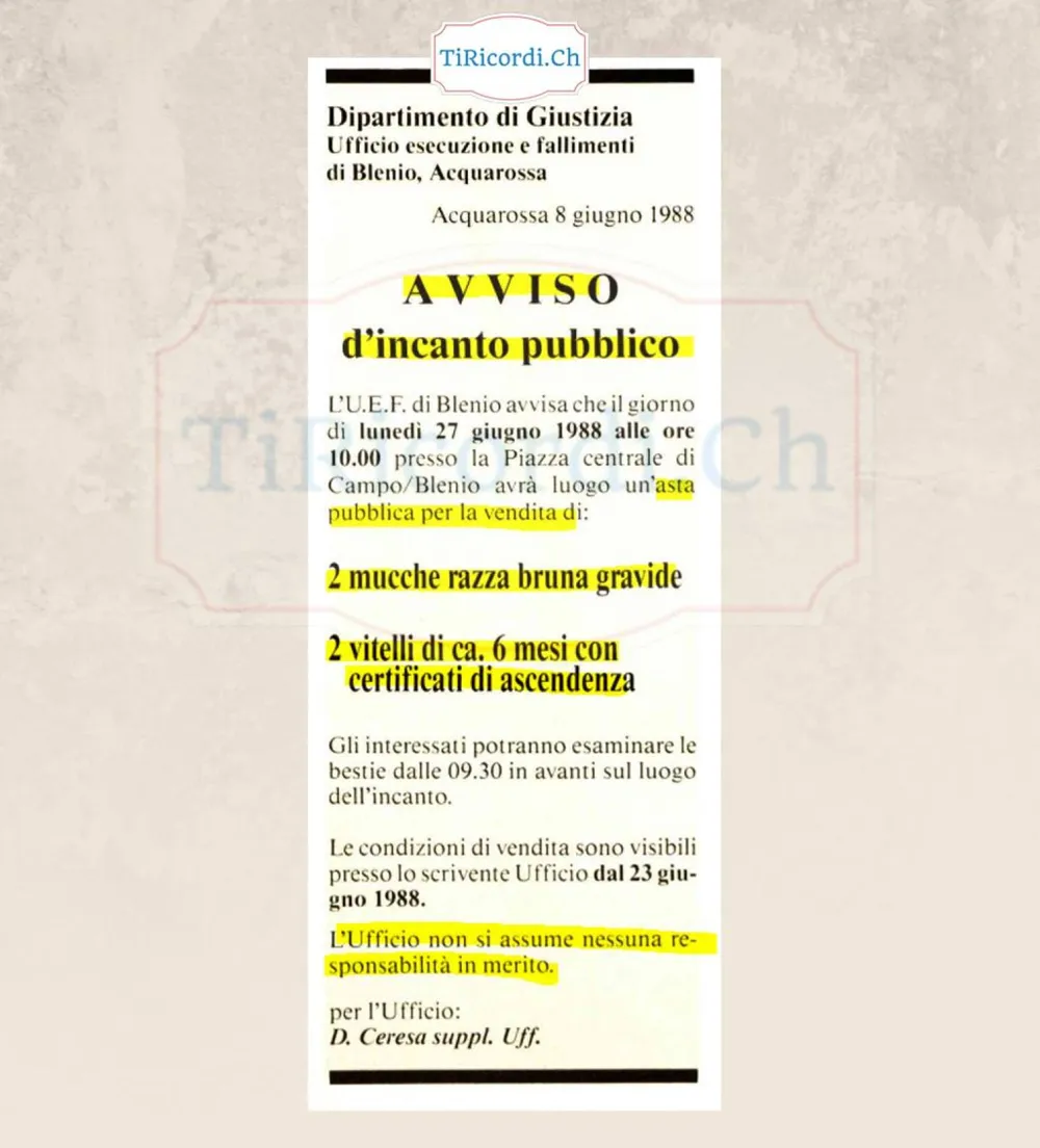 Avviso di incanto pubblico a Campo Blenio: all asta due mucche di razza bruna gravide e due vitelli, giugno 1988