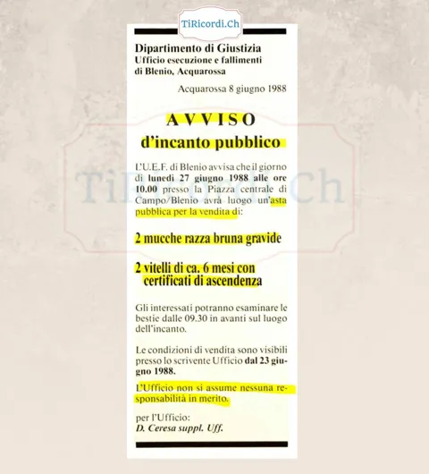 Avviso di incanto pubblico a Campo Blenio: all asta due mucche di razza bruna gravide e due vitelli, giugno 1988