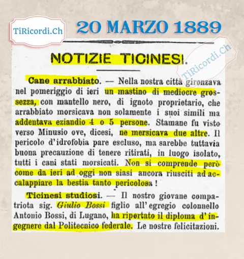 Cane arrabbiato morde 4 o 5 persone a Locarno e nessuno lo acchiappa, 1889