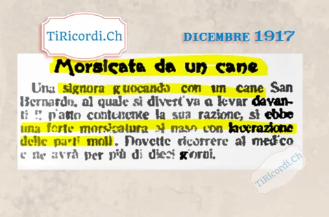 Morsicata da un cane: una signora che scherzava con un San Bernardo levandogli il piatto della razione, forte morsicatura al naso, 1917