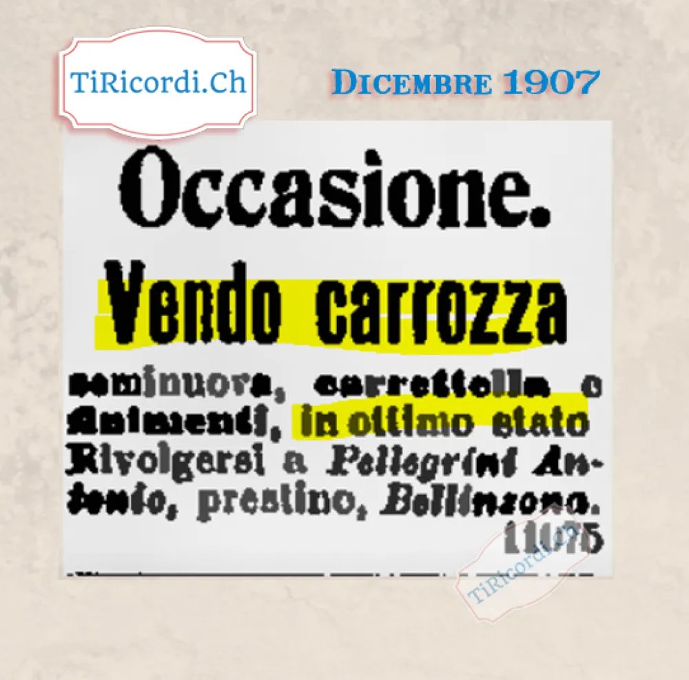 Occasione: vendo carrozza seminuova, carrettella e finimenti in ottimo stato, Bellinzona 1907