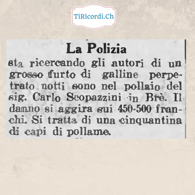 La polizia sta ricercando gli autori di un grosso furto di galline nel pollaio del signor Carlo Scopazzini in Brè: una cinquantina di capi, danno di 450-500 franchi, 1948