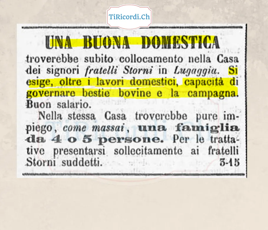 Cercasi domestica che sappia governare le bestie bovine e la campagna, 1888