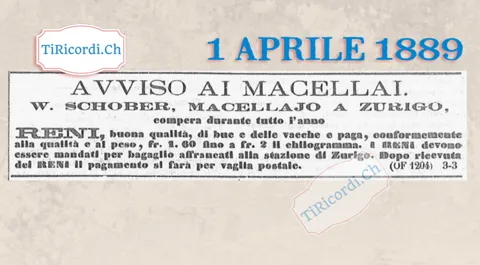Avviso ai macellai: un macellaio di Zurigo compra reni di bue e vacca a 2 franchi al chilo, 1889