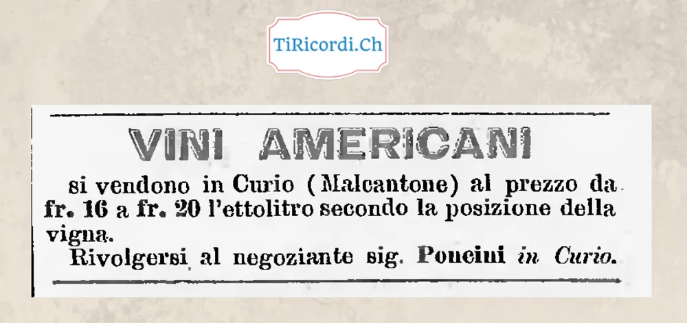 Vini americani in vendita a Curio: da 16 a 20 franchi l'ettolitro, 1888